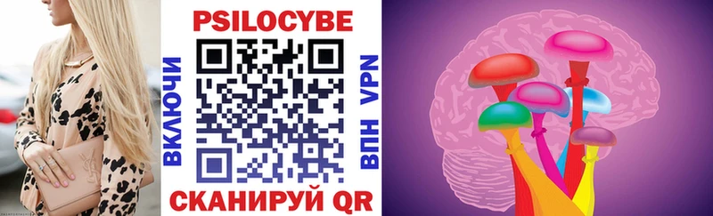 купить закладку  Чайковский  Псилоцибиновые грибы MAGIC MUSHROOMS 