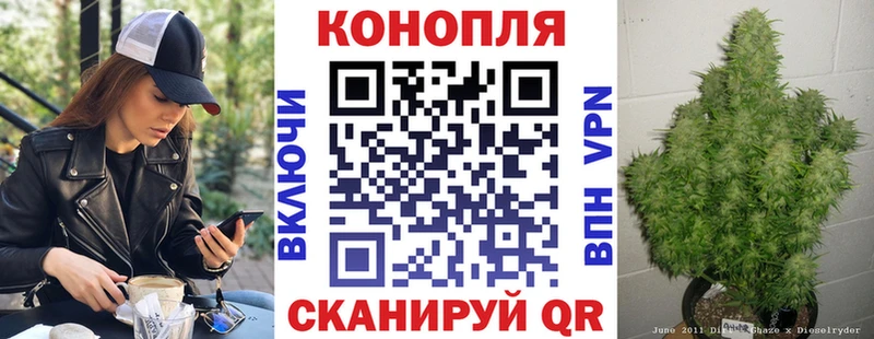 блэк спрут вход где продают наркотики Чайковский Бошки марихуана SATIVA & INDICA